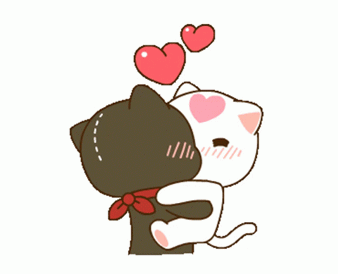 bisou chat